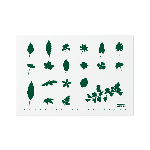 plant / プラント A5